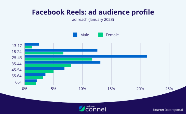 Facebook Reels: ad audience profile