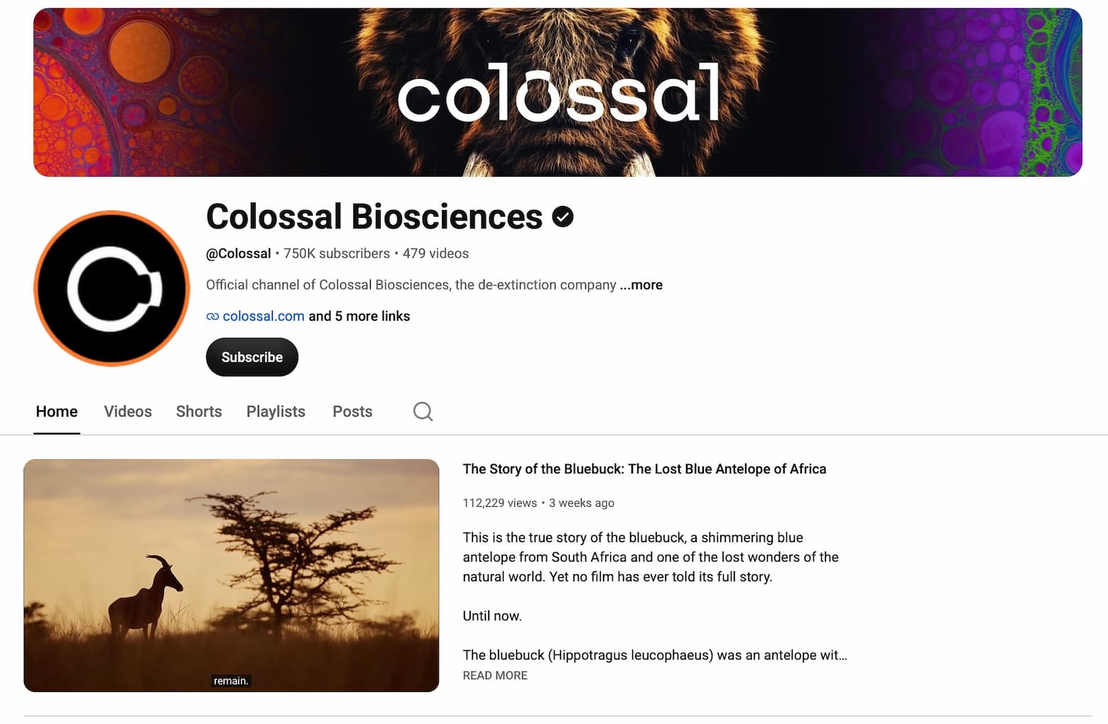 Colossal Biosciences - official YouTube channel